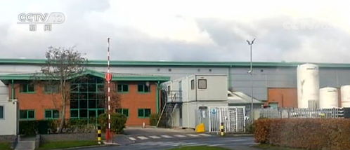 英國多家食品加工廠相繼暴發(fā)疫情，家禽產業(yè)遭遇嚴峻挑戰(zhàn)